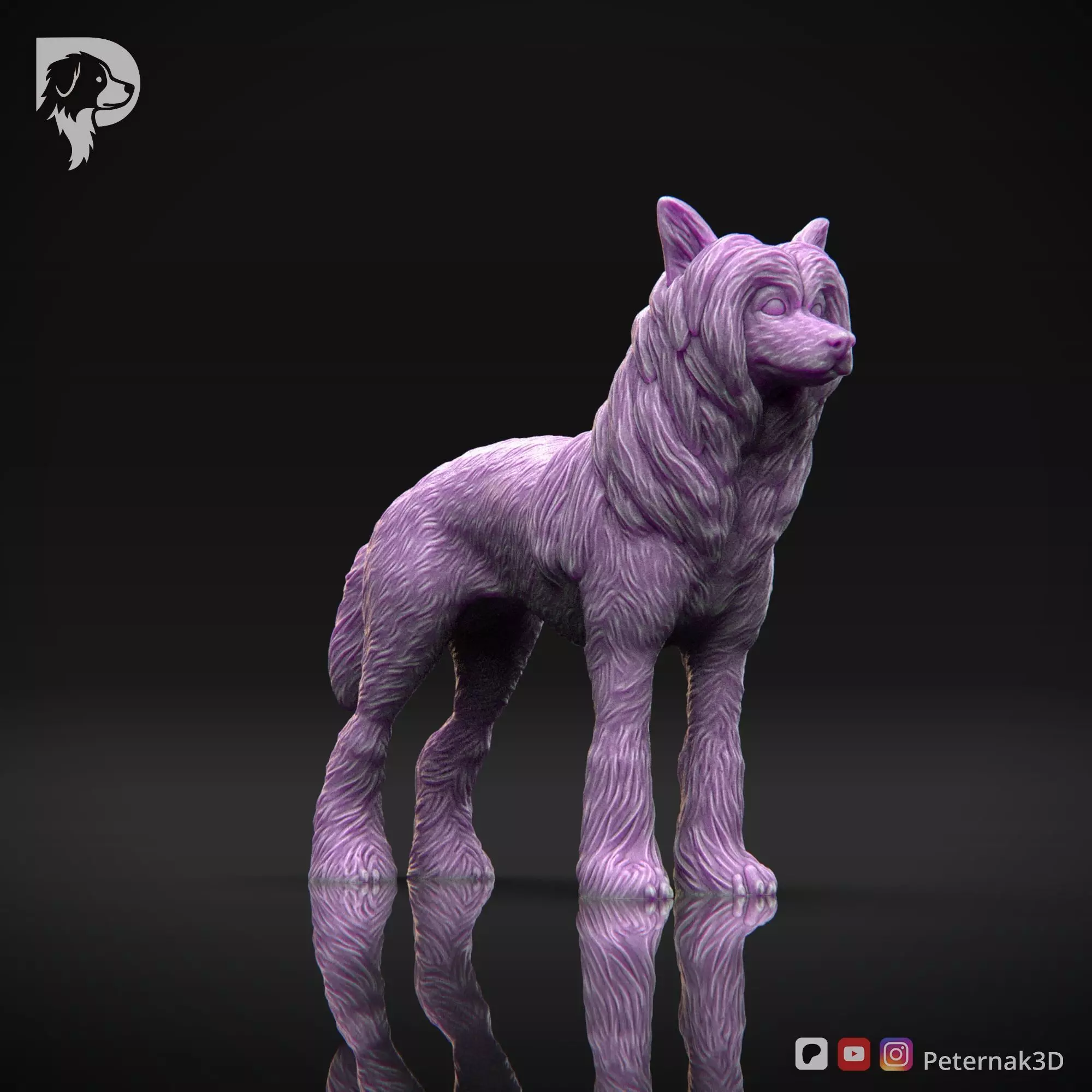 Dog 3D Print Model Chinese Crested Dog Pose 01 Ready STL 3D print model_3