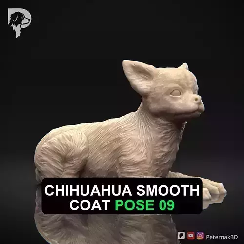 Dog 3D Print Model Chihuahua Smooth Coat Dog Pose 09 Ready STL