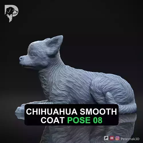 Dog 3D Print Model Chihuahua Smooth Coat Dog Pose 08 Ready STL