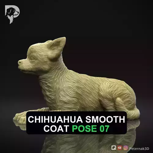 Dog 3D Print Model Chihuahua Smooth Coat Dog Pose 07 Ready STL