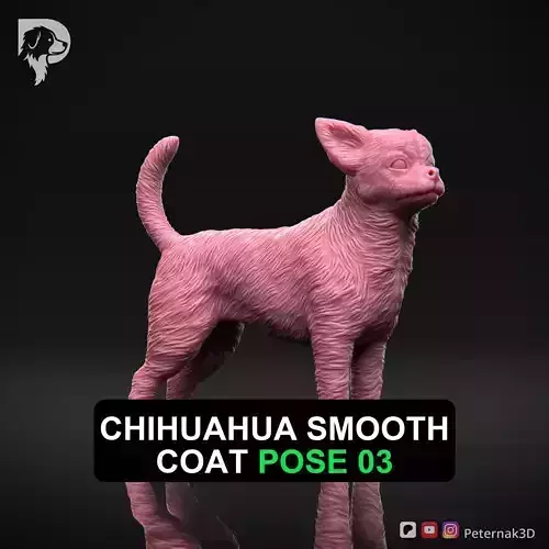 Dog 3D Print Model Chihuahua Smooth Coat Dog Pose 03 Ready STL