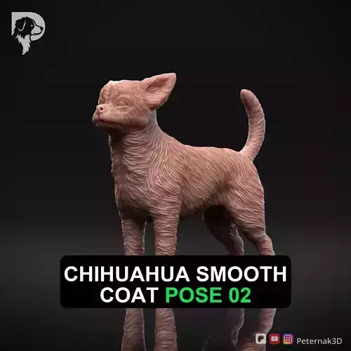 Dog 3D Print Model Chihuahua Smooth Coat Dog Pose 02 Ready STL