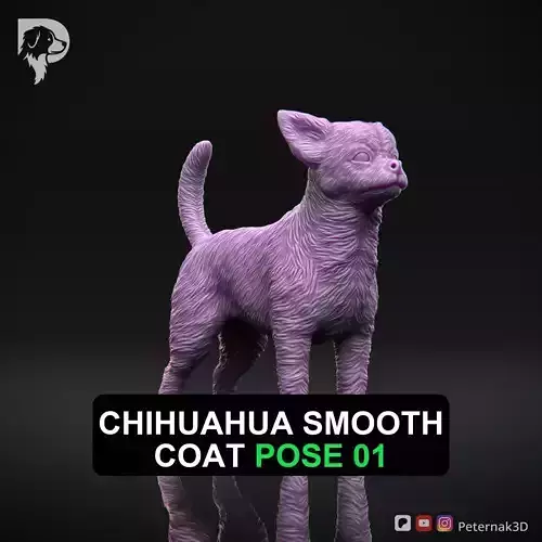 Dog 3D Print Model Chihuahua Smooth Coat Dog Pose 01 Ready STL