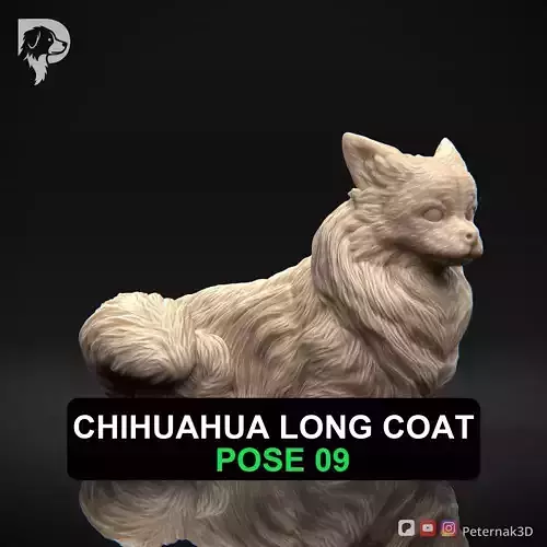 Dog 3D Print Model Chihuahua Long Coat Dog Pose 09 Ready STL