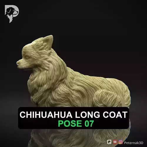 Dog 3D Print Model Chihuahua Long Coat Dog Pose 07 Ready STL