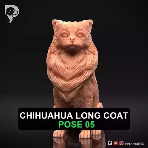 Dog 3D Print Model Chihuahua Long Coat Dog Pose 05 Ready STL