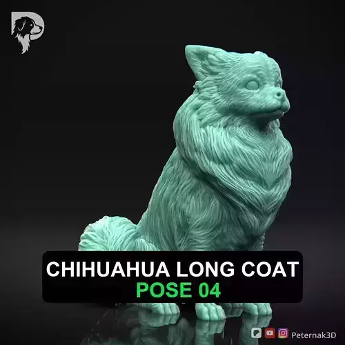 Dog 3D Print Model Chihuahua Long Coat Dog Pose 04 Ready STL