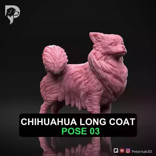 Dog 3D Print Model Chihuahua Long Coat Dog Pose 03 Ready STL