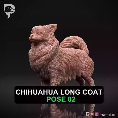 Dog 3D Print Model Chihuahua Long Coat Dog Pose 02 Ready STL