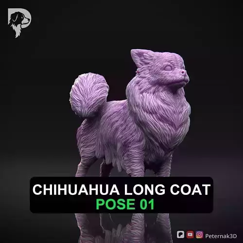 Dog 3D Print Model Chihuahua Long Coat Dog Pose 01 Ready STL