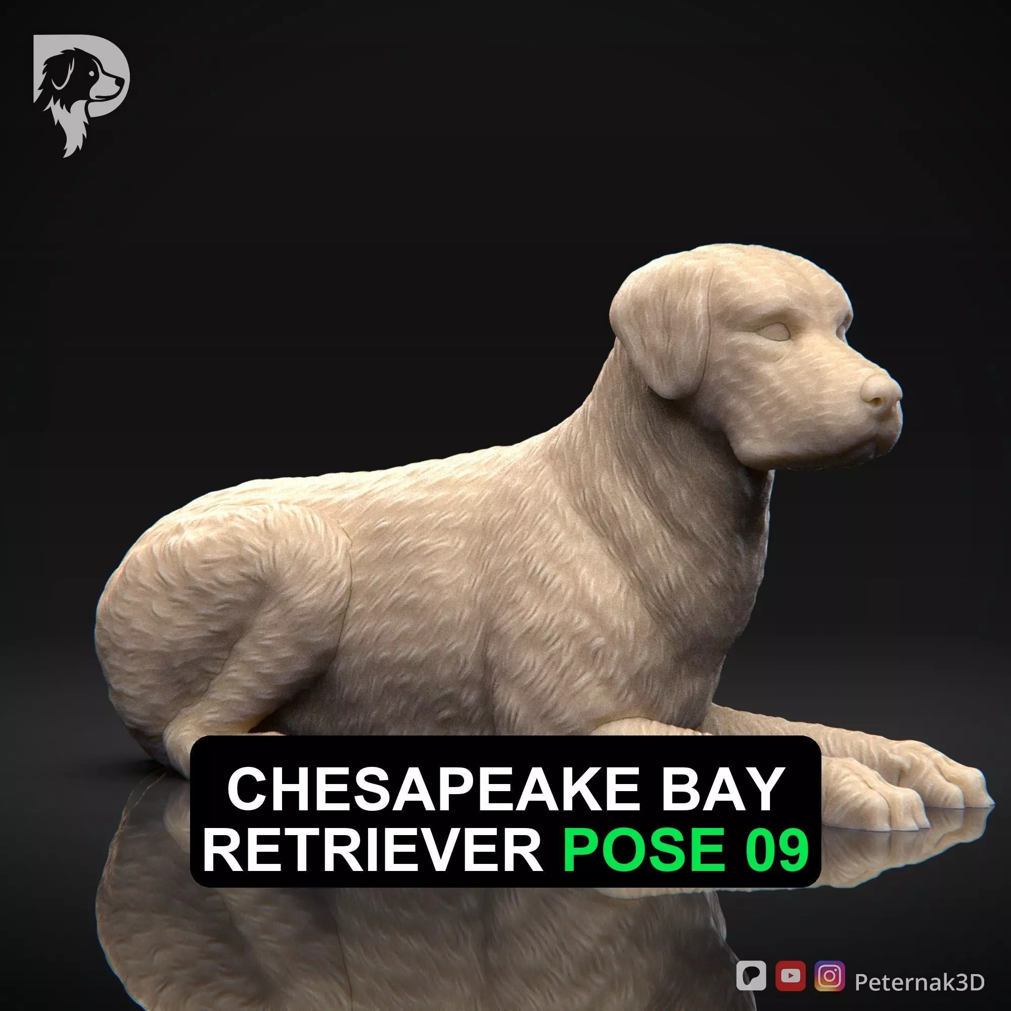 Dog 3D Print Model Chesapeake Bay Retriever Dog Pose 09 STL 3D print model