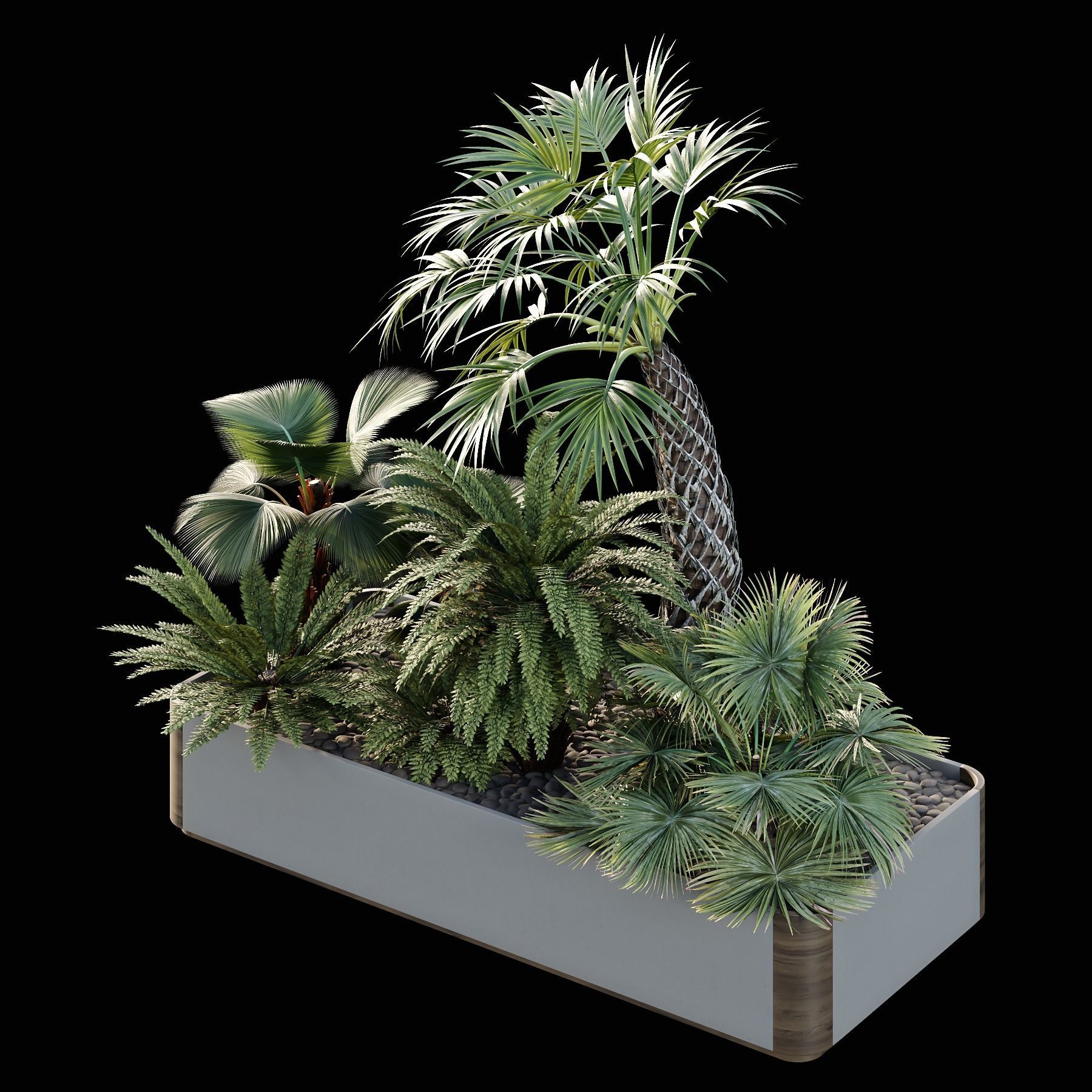HQ Tree and bush garden box outdoor VOL 12 3D model_3