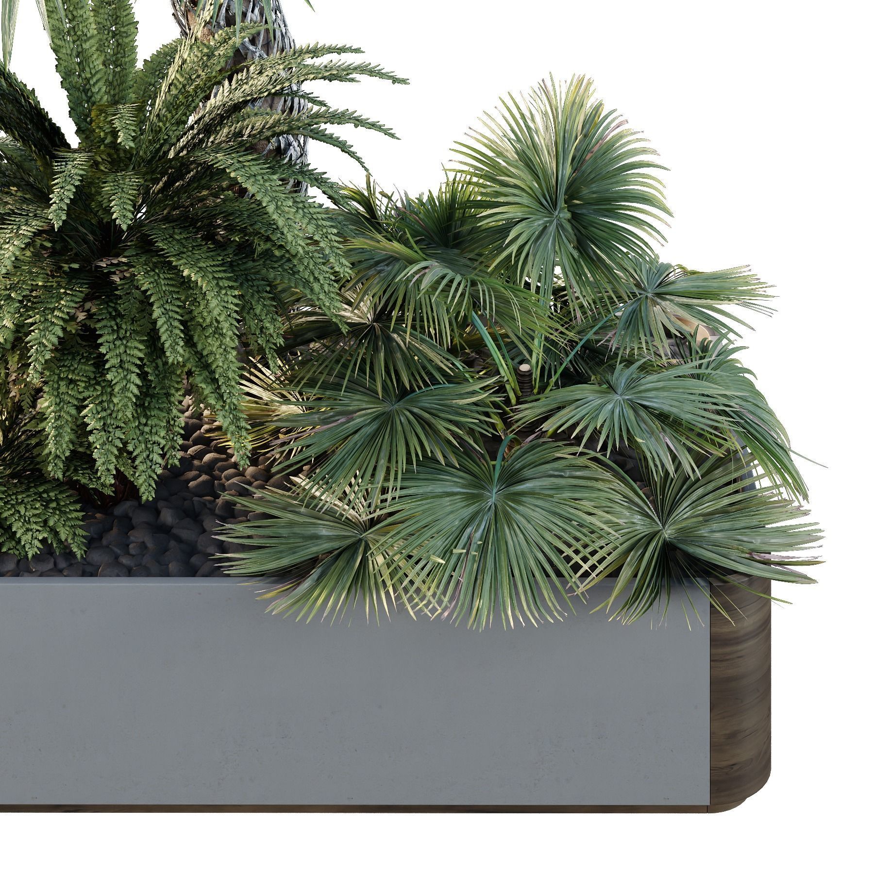 HQ Tree and bush garden box outdoor VOL 12 3D model_1