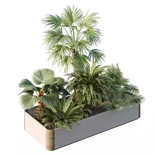 HQ Tree and bush garden box outdoor VOL 12 3D model