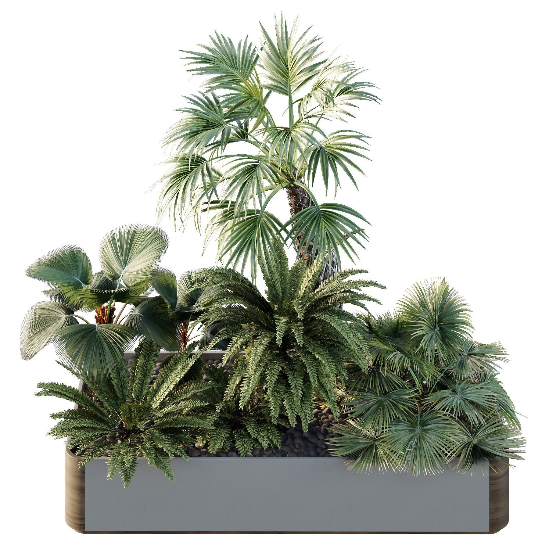 HQ Tree and bush garden box outdoor VOL 12 3D model_2