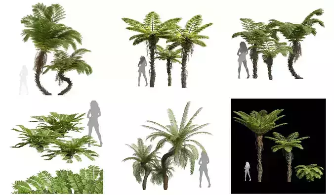  6 Different SETS of Tree SET VOL63 3D Model Collection