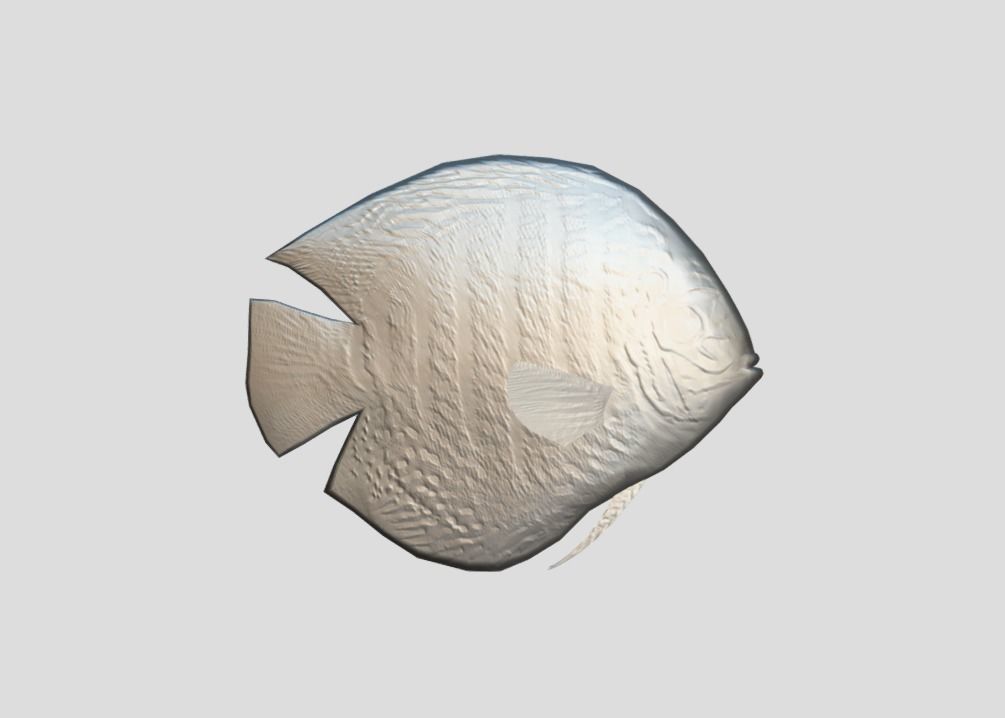Discus  Realistic Animated Low-poly 3D model_3
