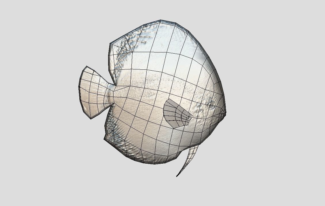 Discus Realistic Animated Low-poly 3D model_3