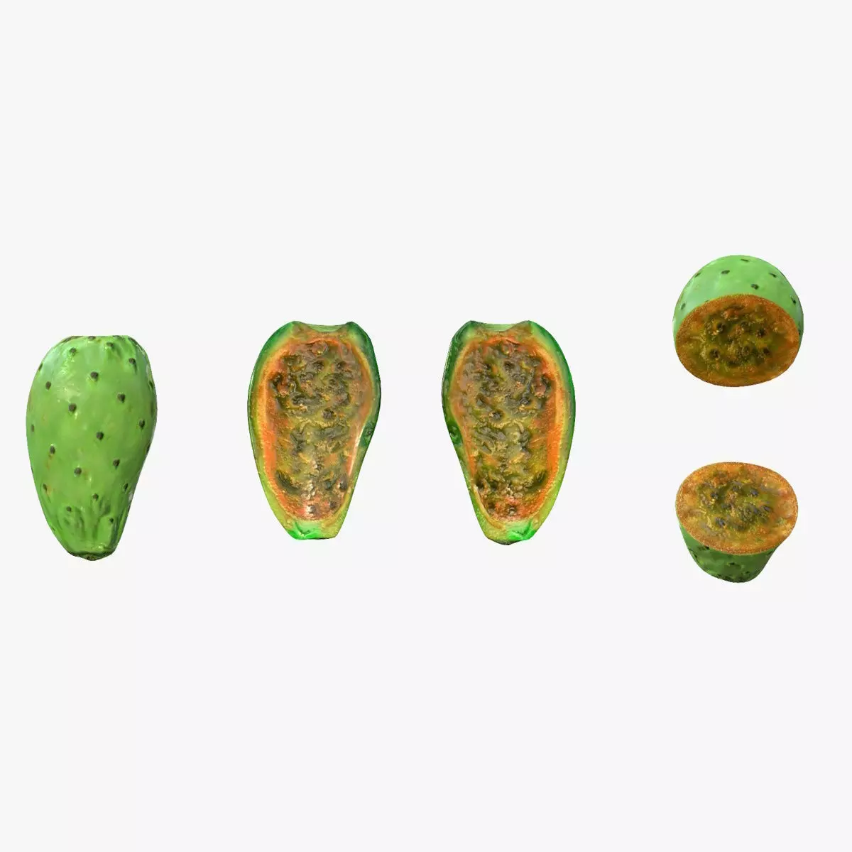 Prickly Pear Green Low-poly 3D model_0