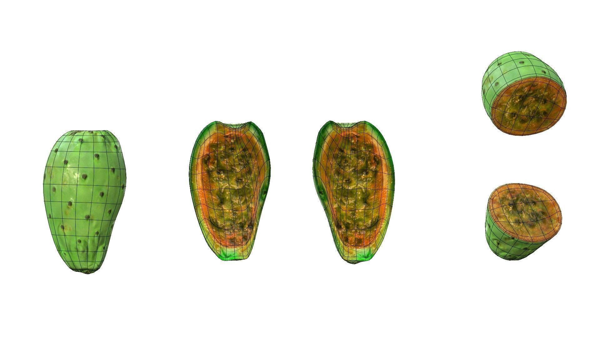 Prickly Pear Green Low-poly 3D model_37