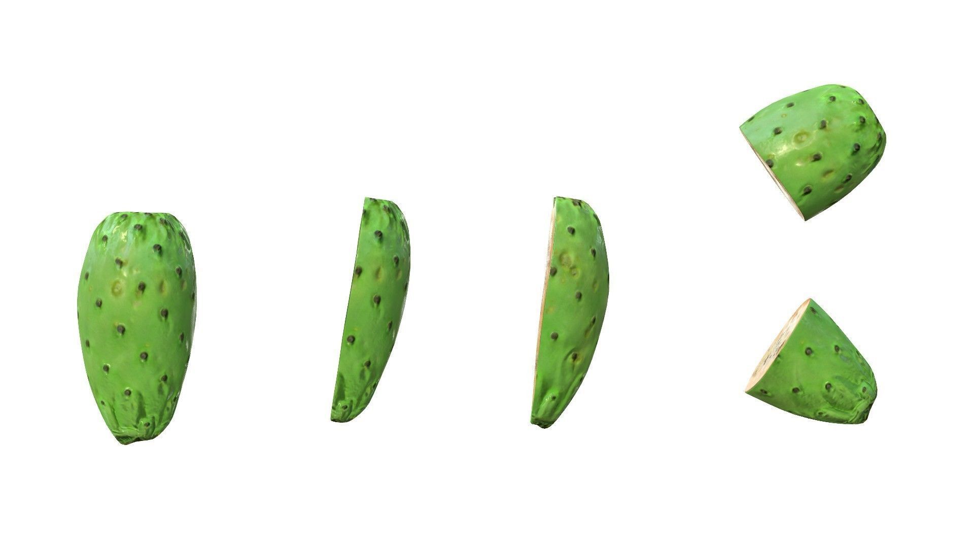 Prickly Pear Green Low-poly 3D model_13