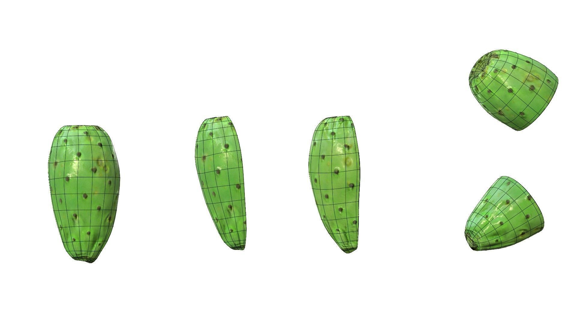 Prickly Pear Green Low-poly 3D model_43