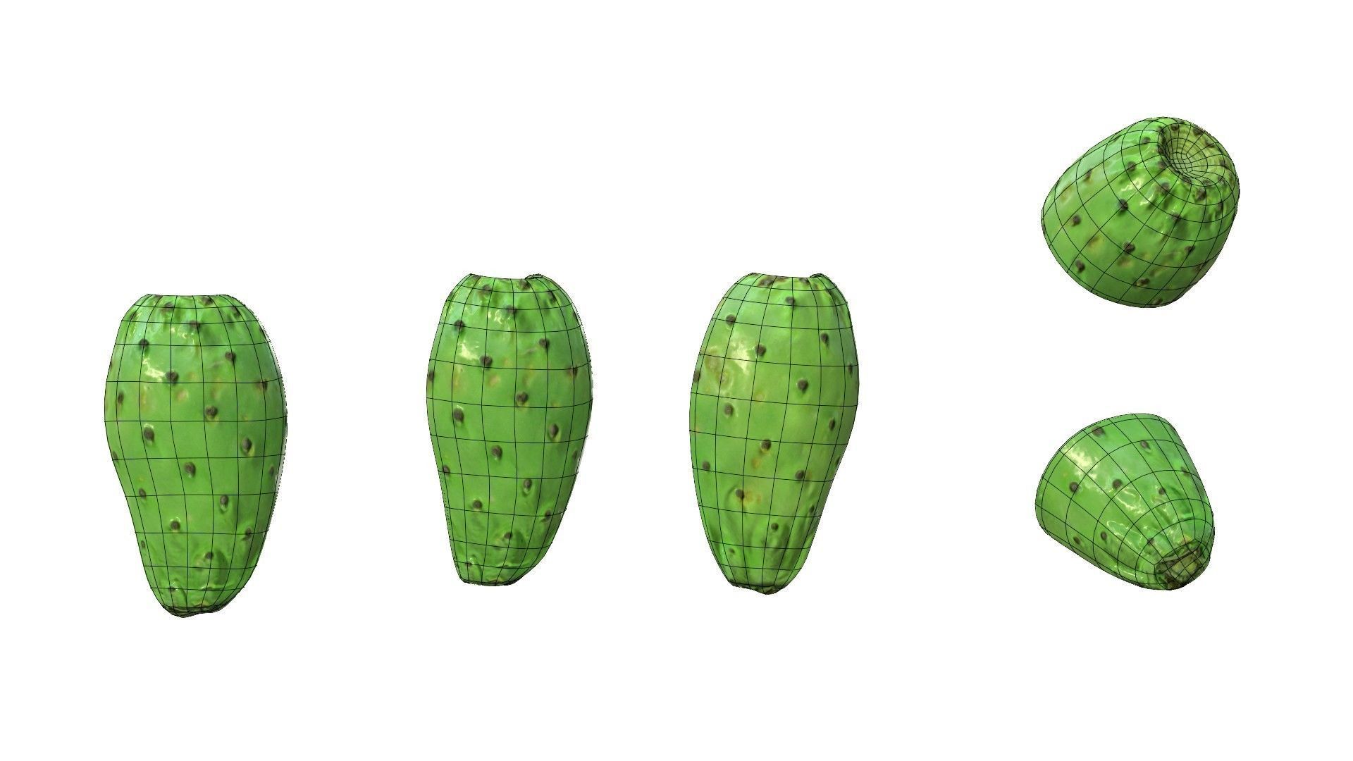 Prickly Pear Green Low-poly 3D model_30