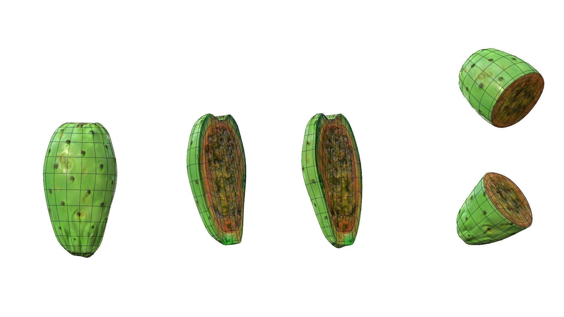 Prickly Pear Green Low-poly 3D model_40