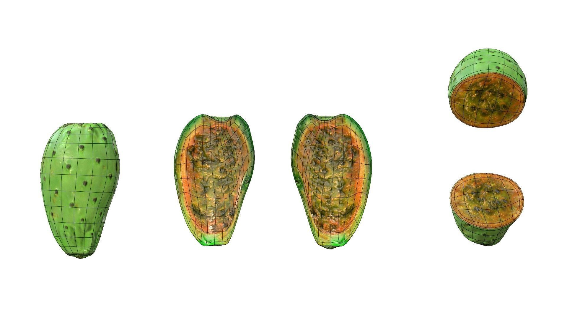 Prickly Pear Green Low-poly 3D model_26