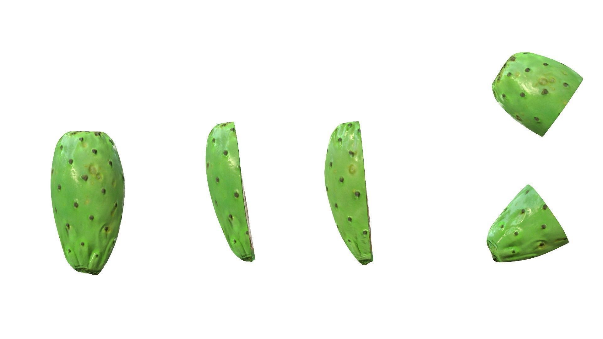 Prickly Pear Green Low-poly 3D model_22