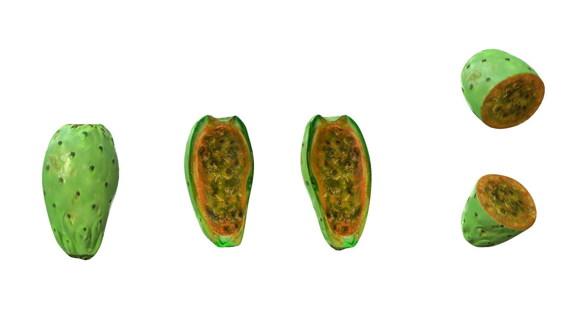 Prickly Pear Green Low-poly 3D model_19