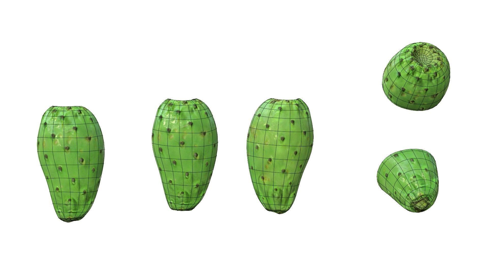 Prickly Pear Green Low-poly 3D model_29