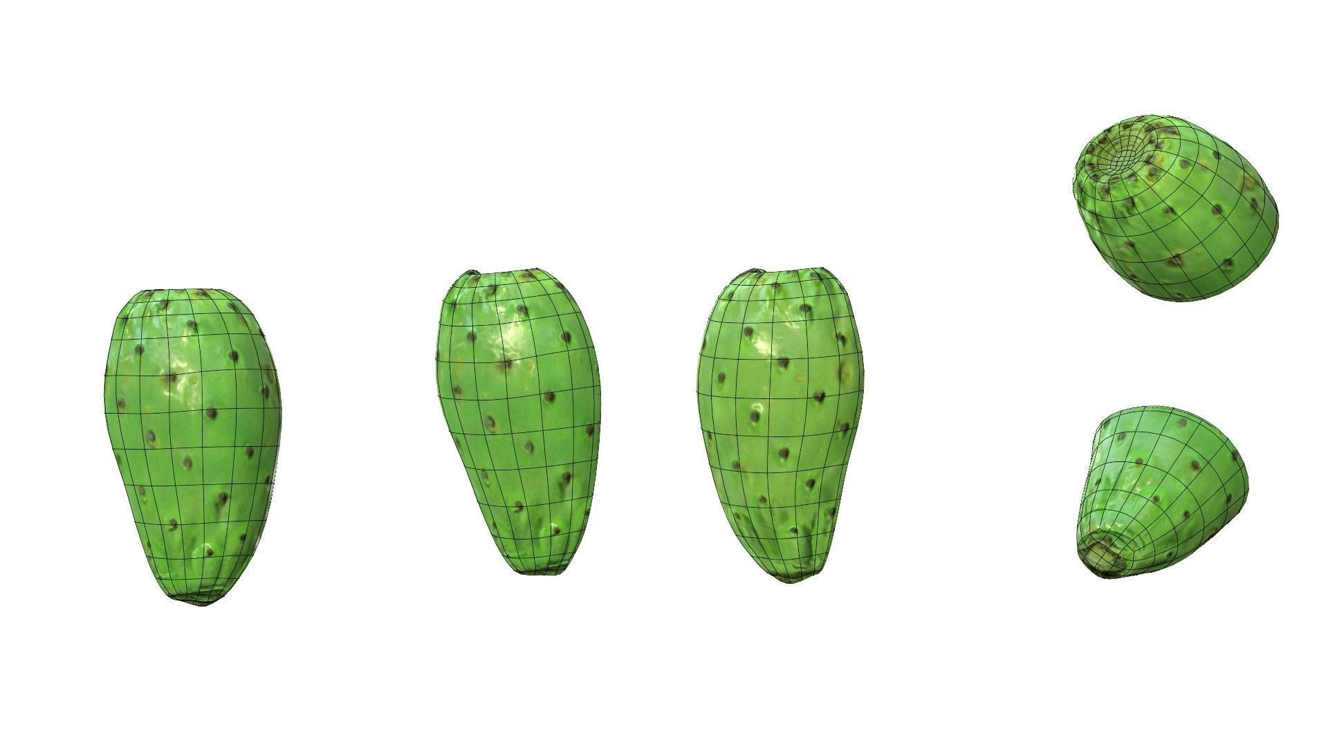 Prickly Pear Green Low-poly 3D model_45