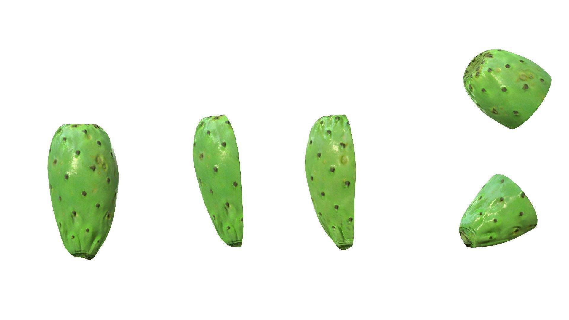 Prickly Pear Green Low-poly 3D model_23