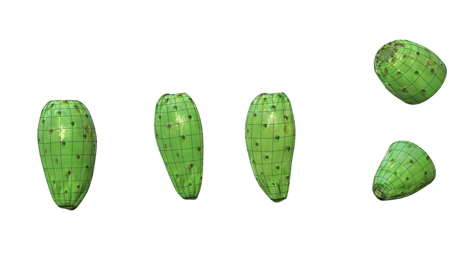 Prickly Pear Green Low-poly 3D model_44
