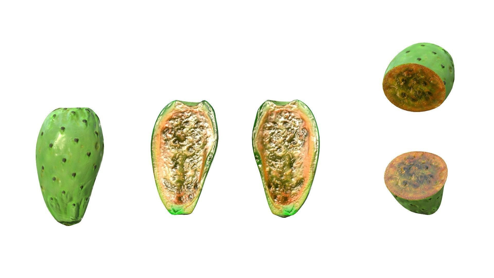 Prickly Pear Green Low-poly 3D model_18