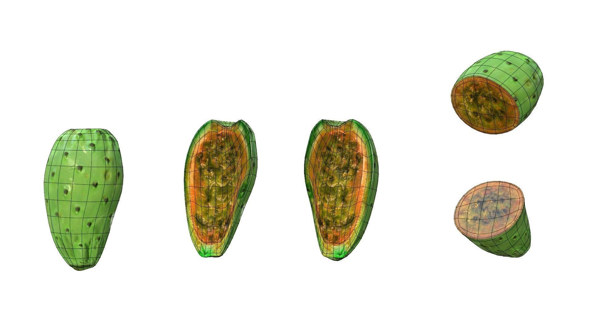 Prickly Pear Green Low-poly 3D model_36