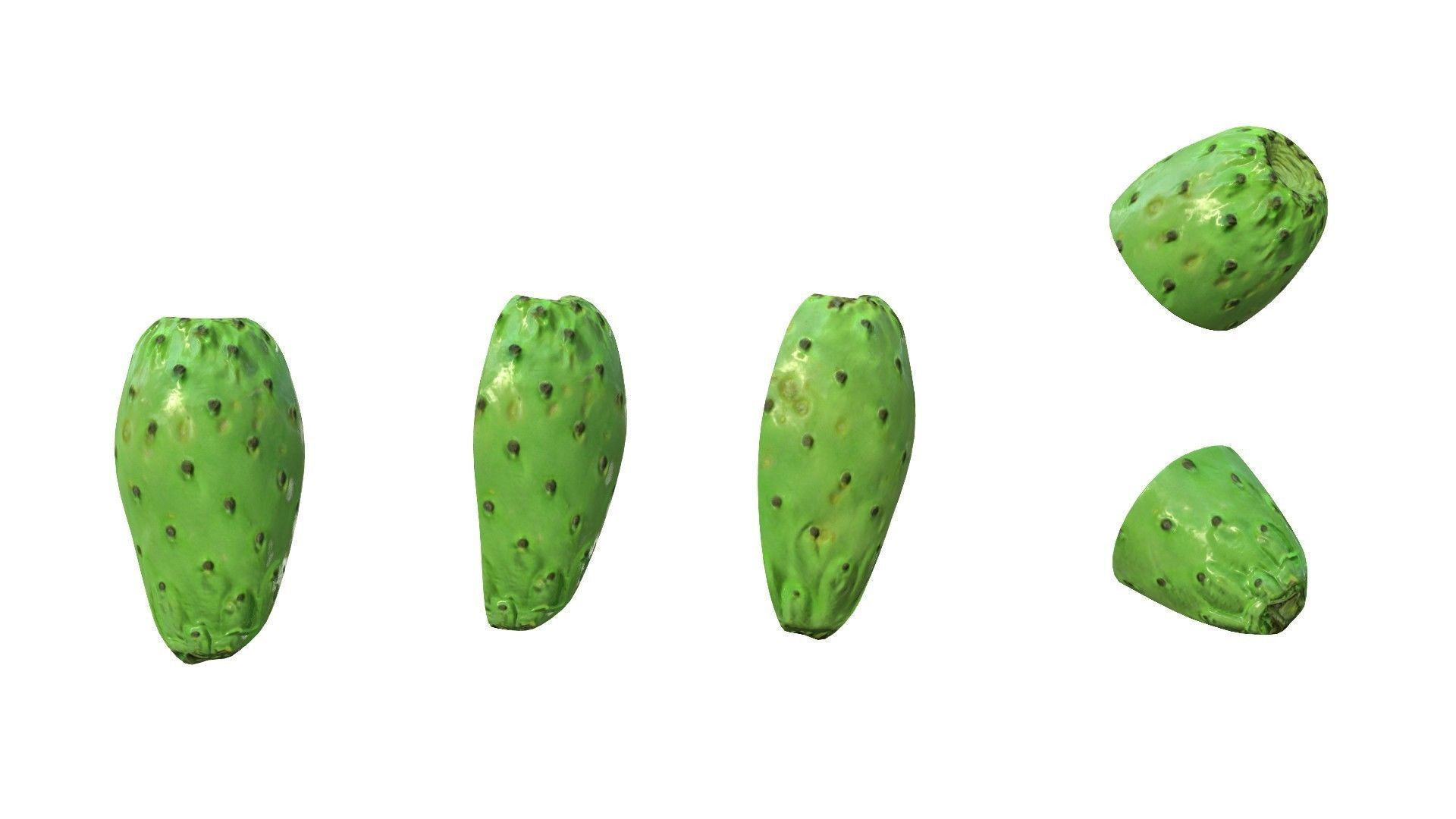 Prickly Pear Green Low-poly 3D model_11
