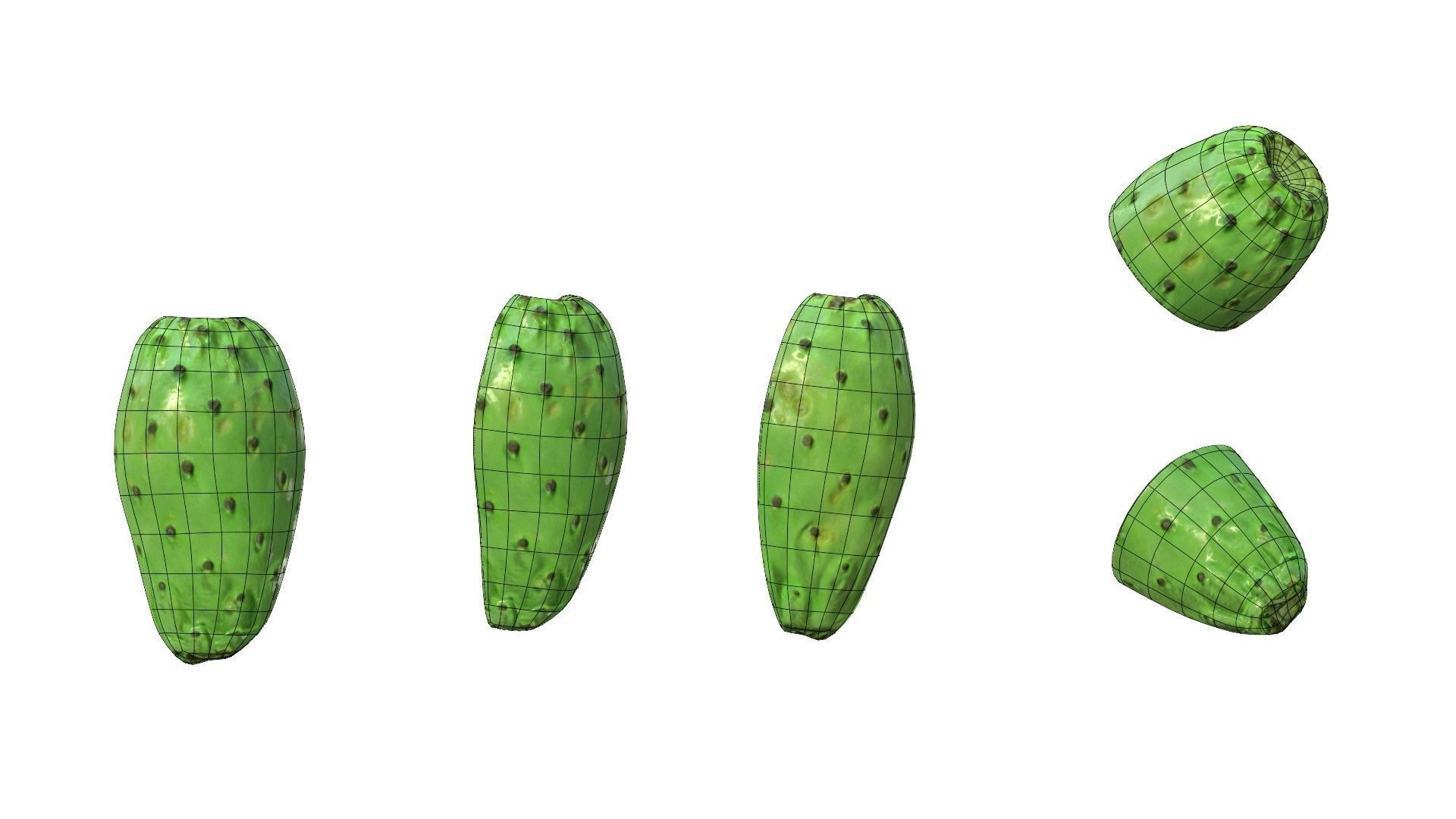 Prickly Pear Green Low-poly 3D model_31