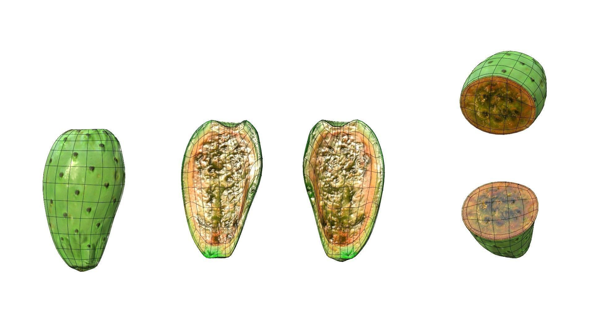 Prickly Pear Green Low-poly 3D model_38