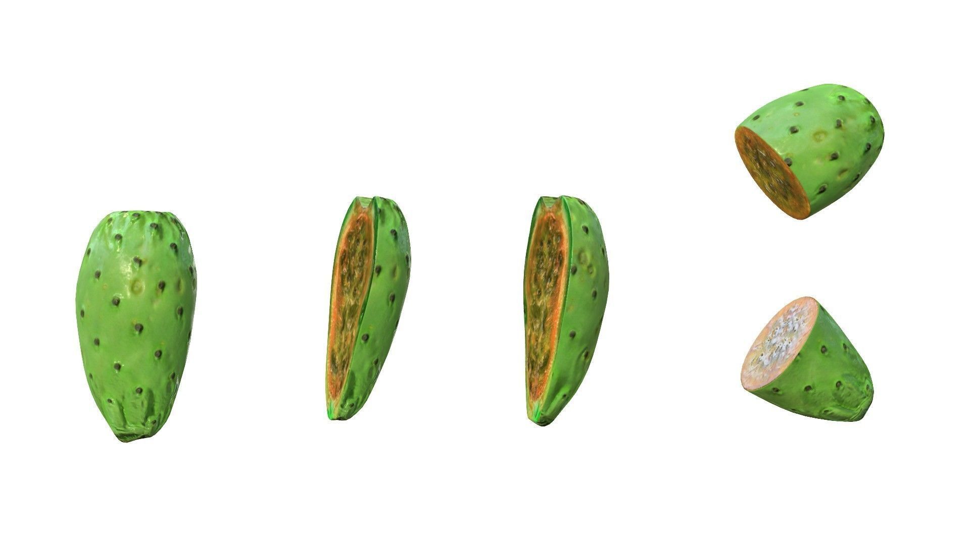 Prickly Pear Green Low-poly 3D model_14