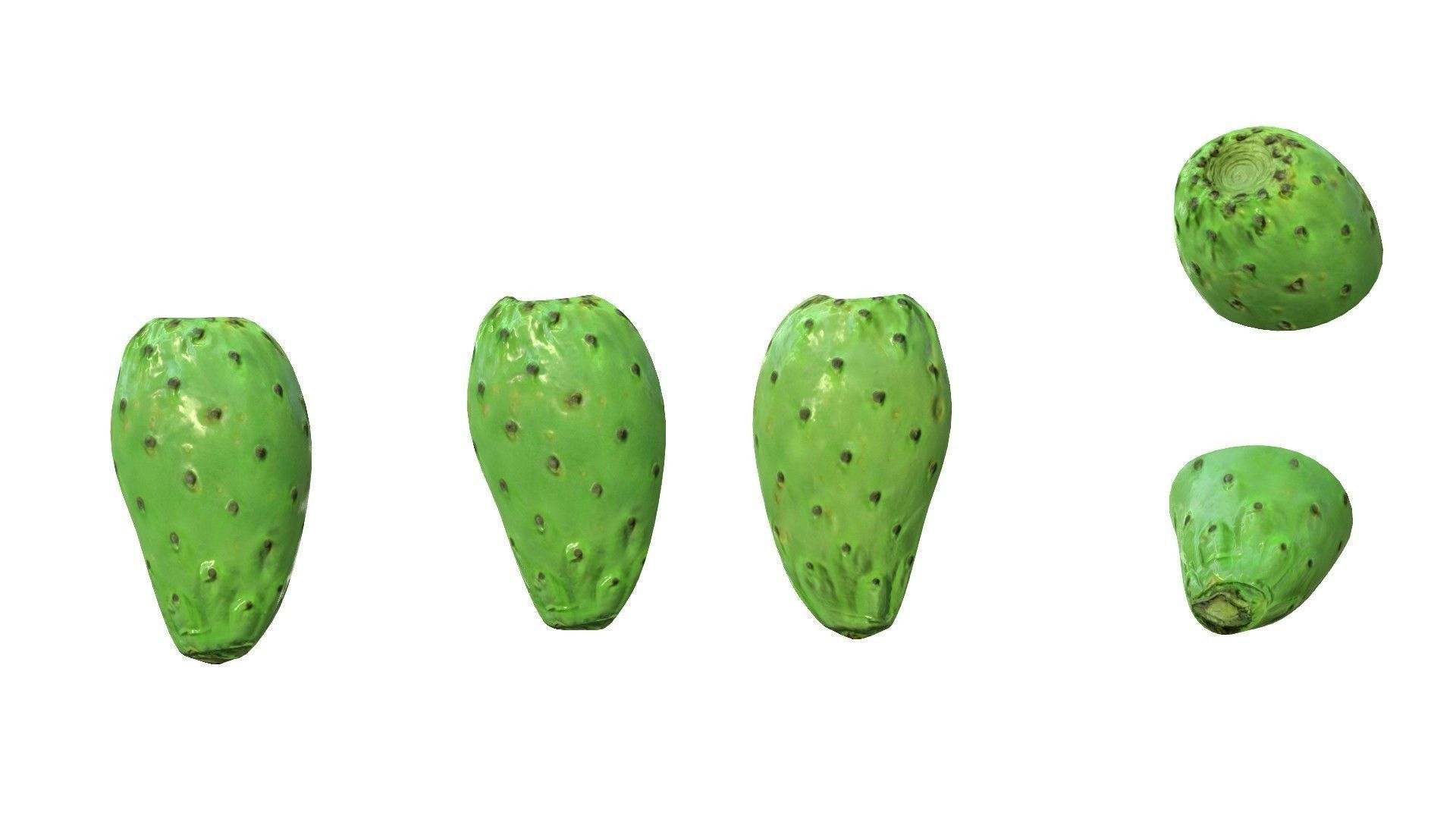Prickly Pear Green Low-poly 3D model_7