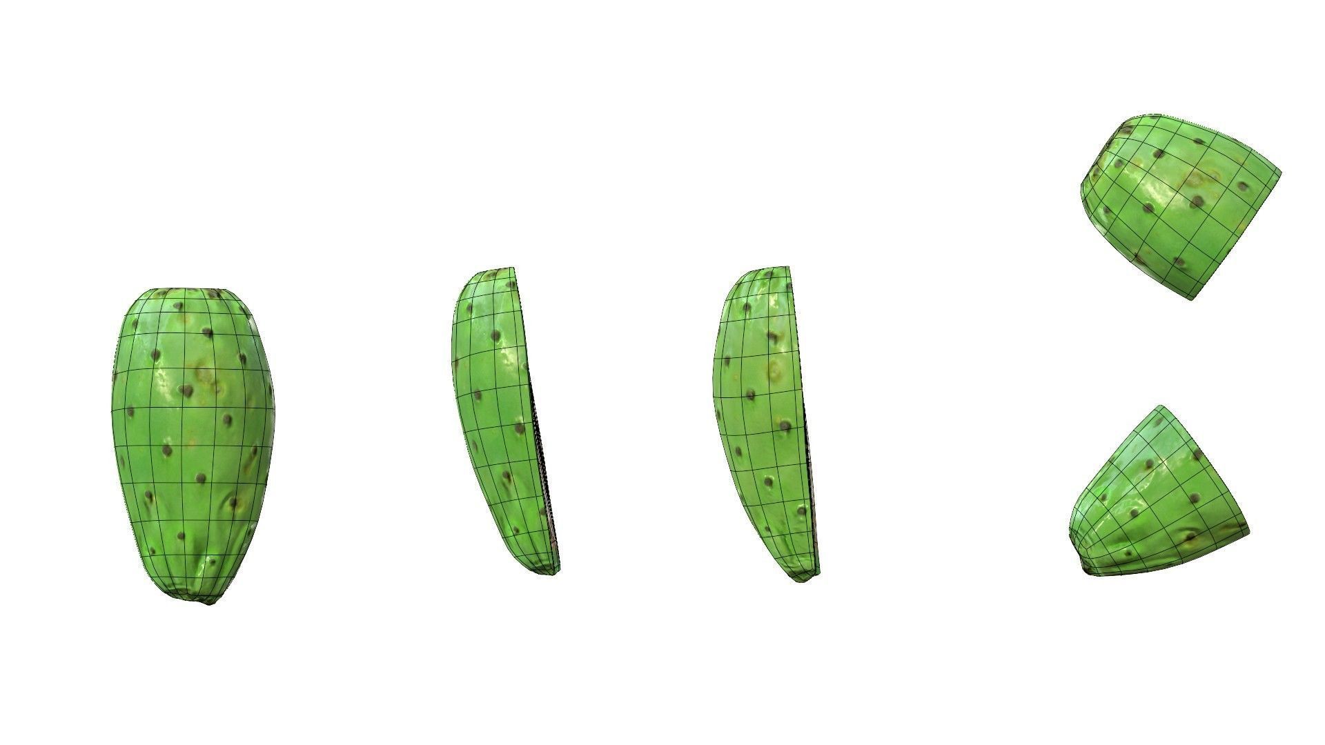 Prickly Pear Green Low-poly 3D model_42