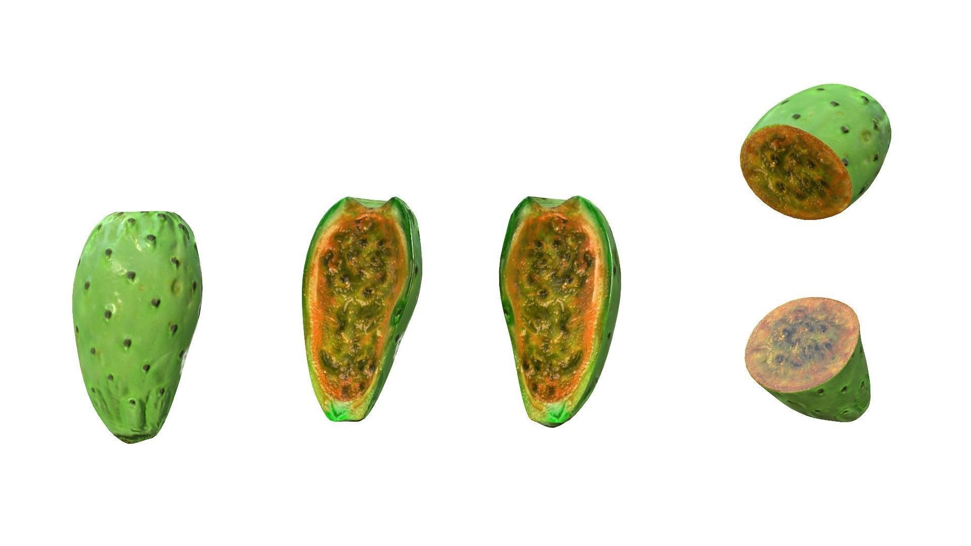 Prickly Pear Green Low-poly 3D model_16