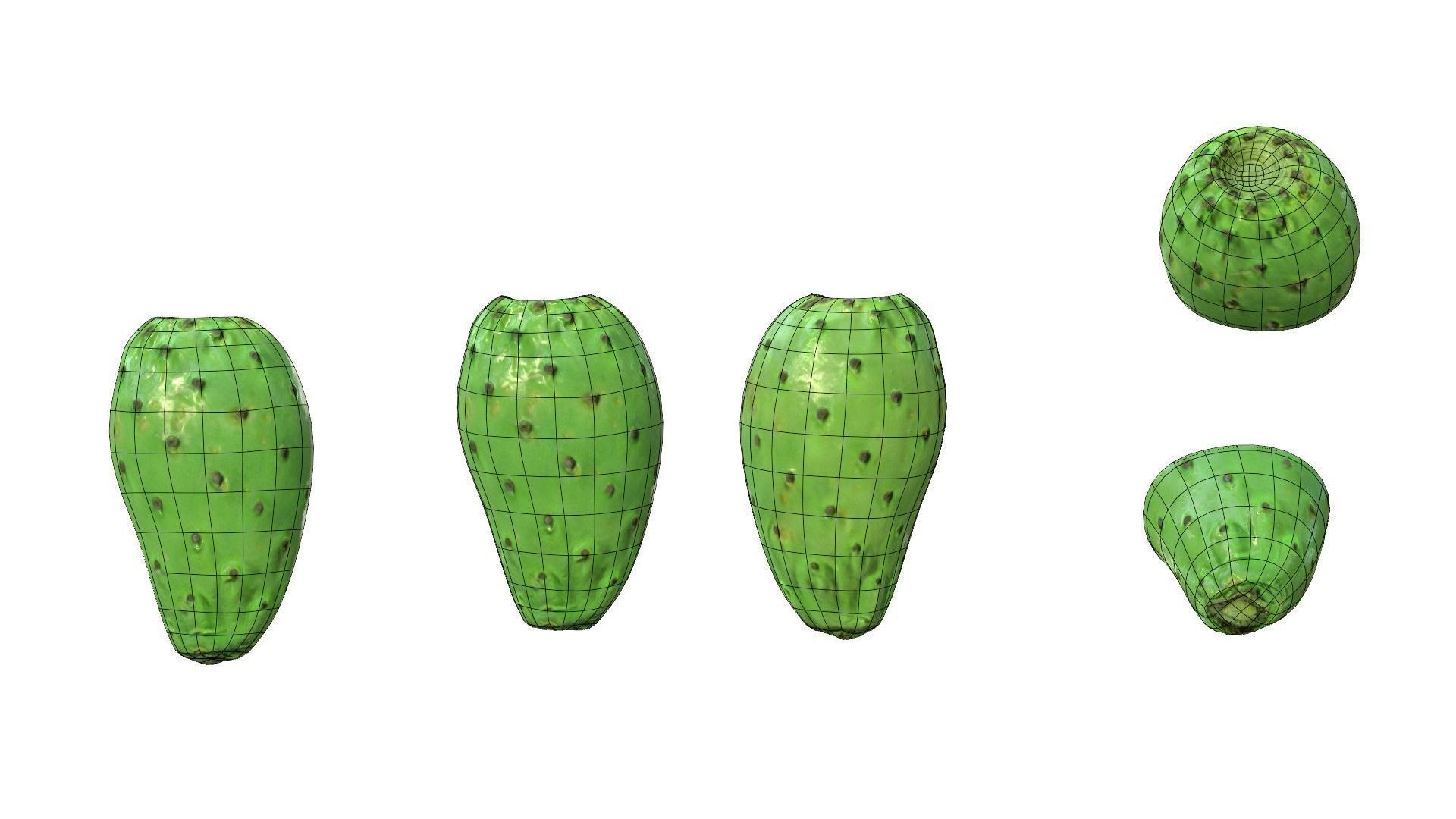 Prickly Pear Green Low-poly 3D model_28