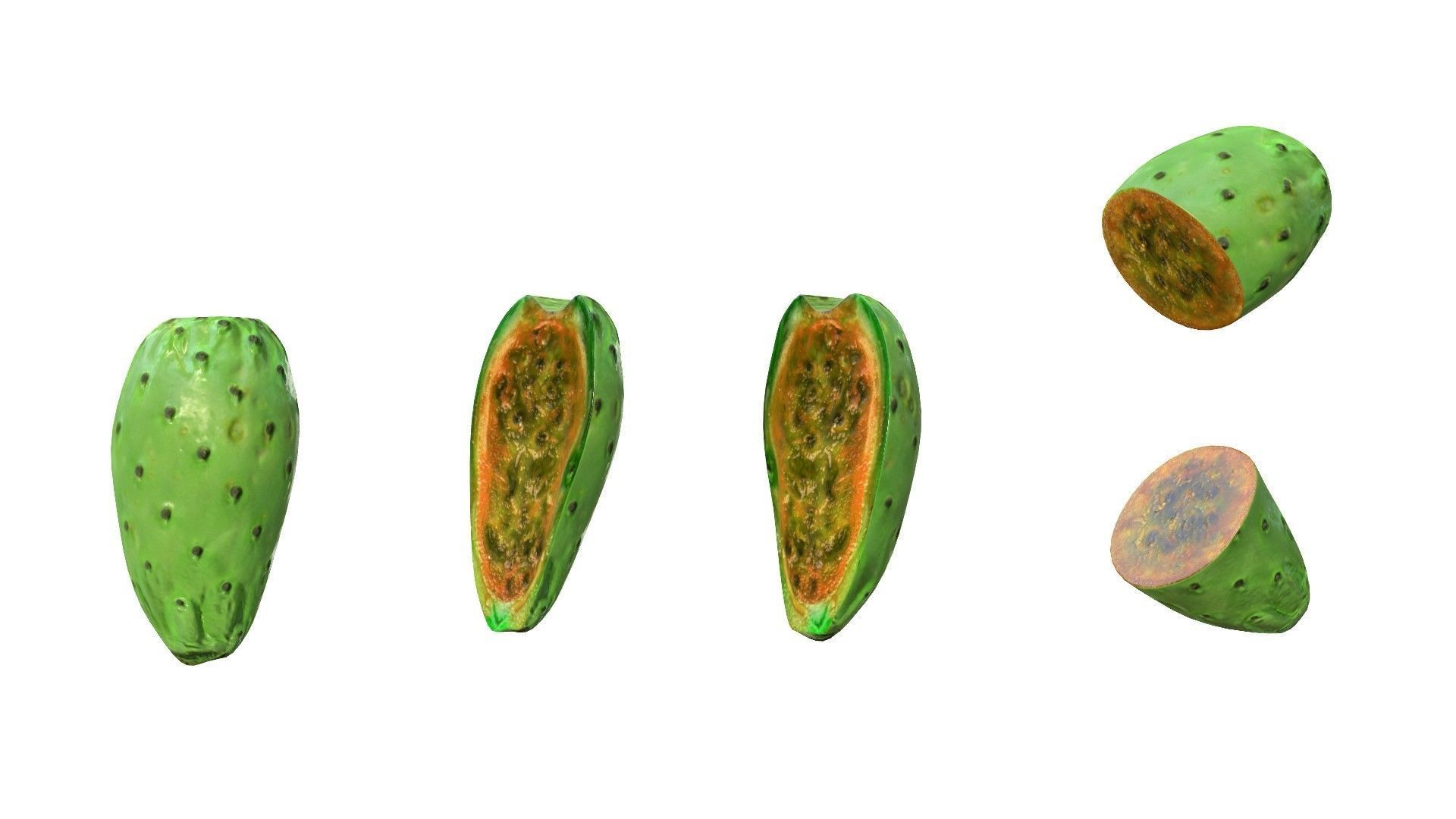 Prickly Pear Green Low-poly 3D model_15