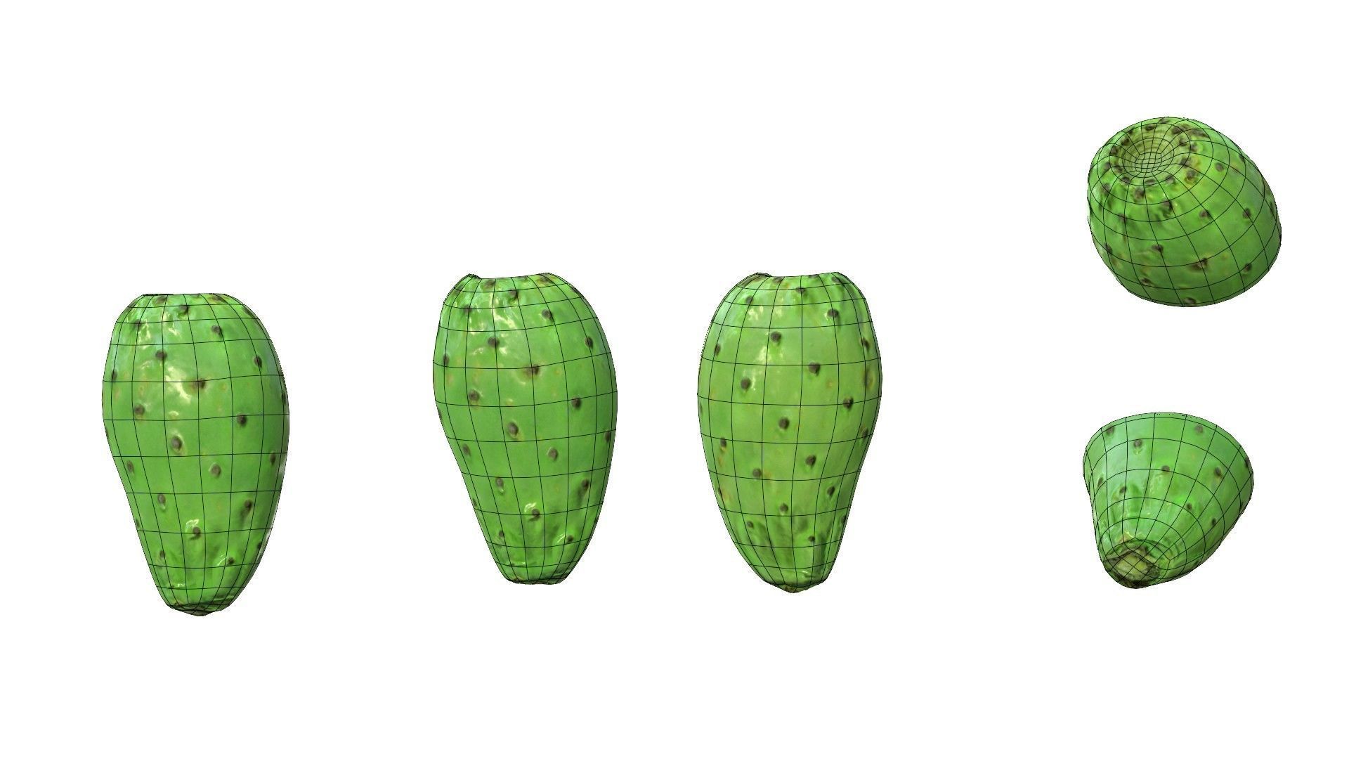 Prickly Pear Green Low-poly 3D model_27