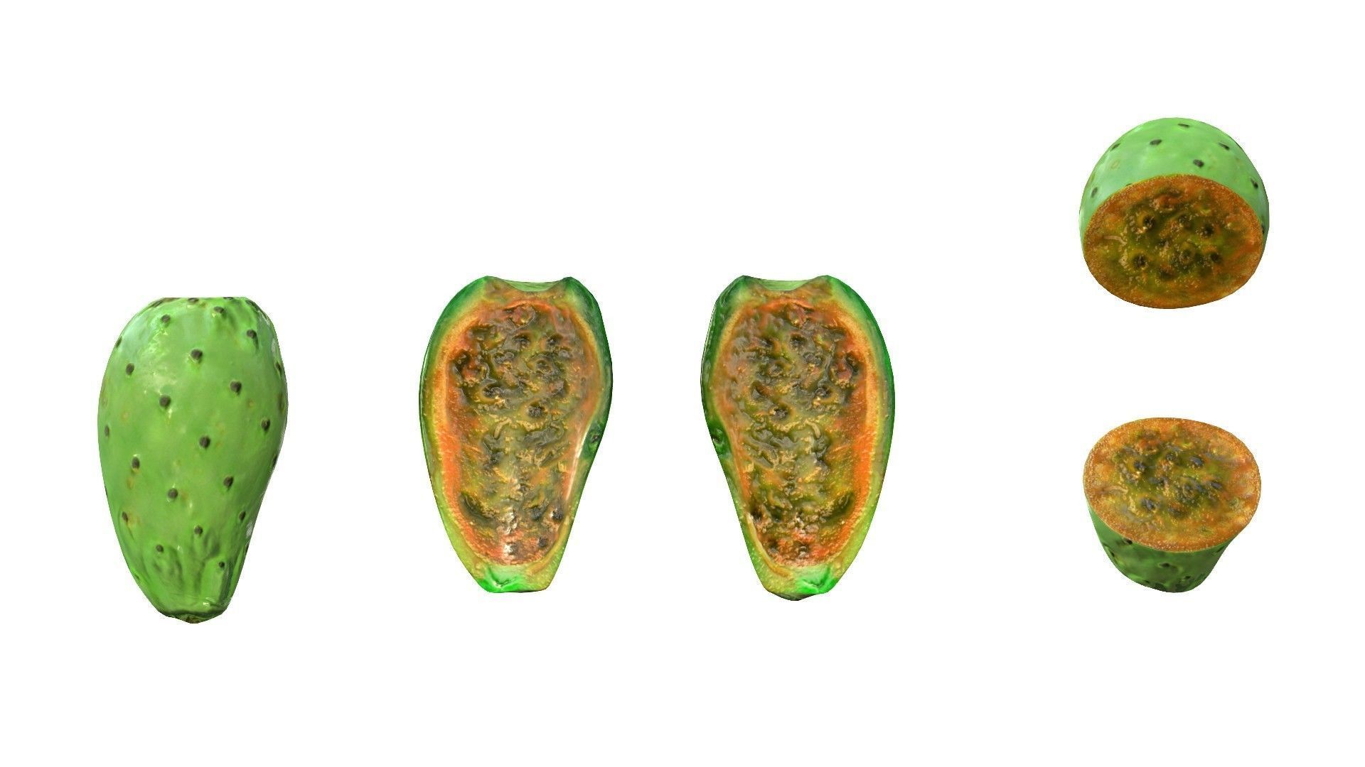 Prickly Pear Green Low-poly 3D model_6