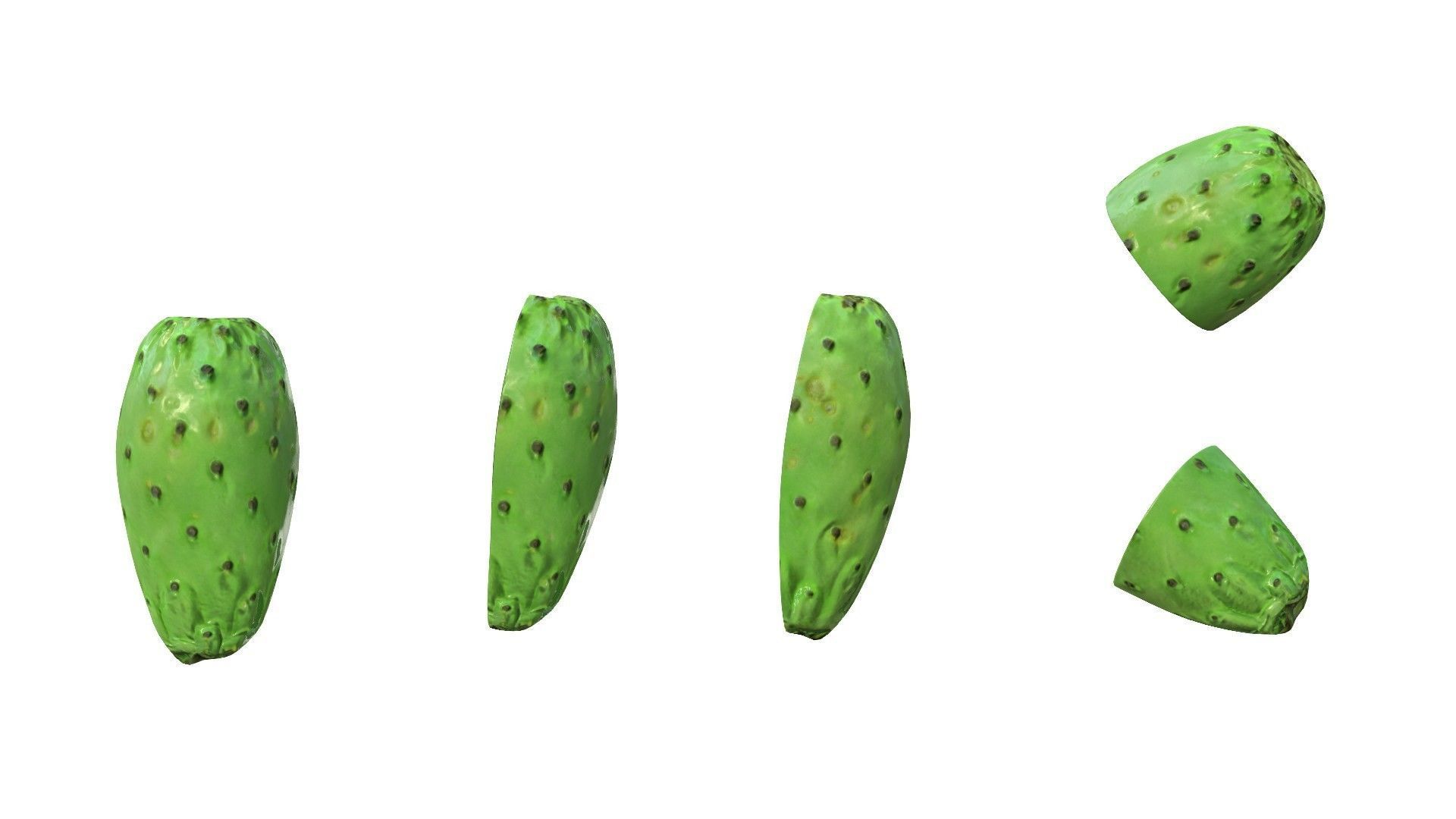 Prickly Pear Green Low-poly 3D model_12