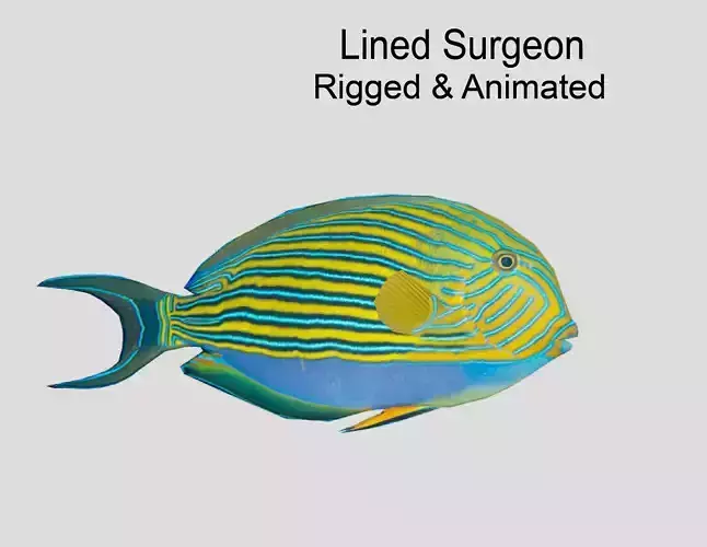Lined Surgeon Realistic Animated Low-poly 3D model